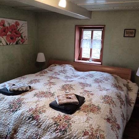 Oekologische Ferienwohnung Becker Kottmar Екстериор снимка
