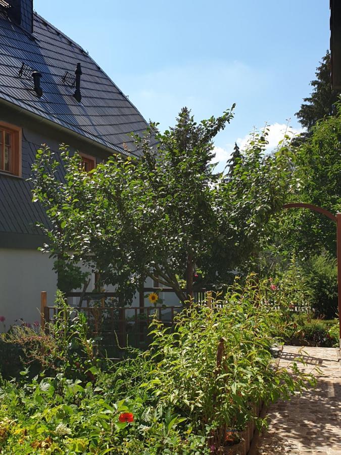 Oekologische Ferienwohnung Becker Kottmar Екстериор снимка